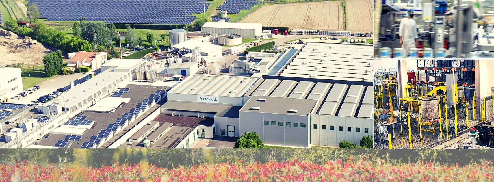 Ecotone announces €20 million investment to meet growing demand for plant-based beverages in the european market